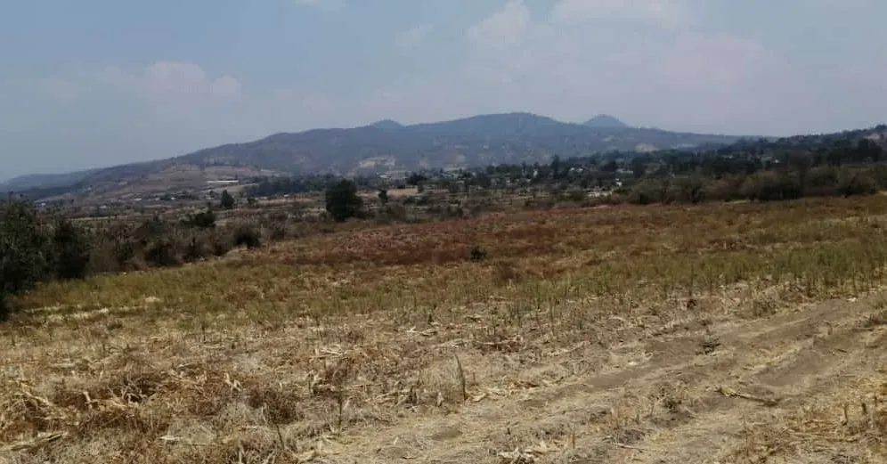 Terreno Nepantla - 3