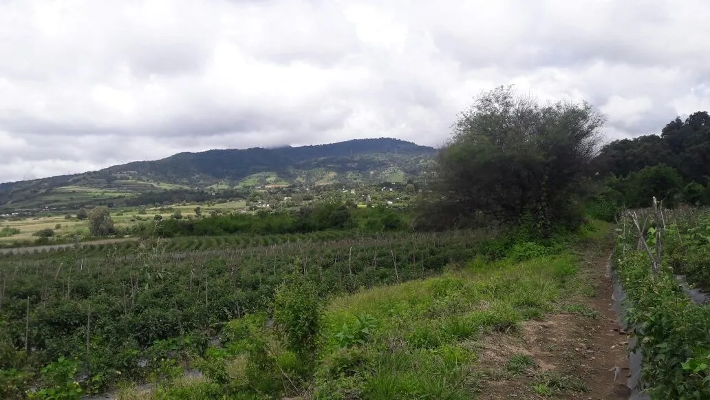 Terreno Nepantla - 4